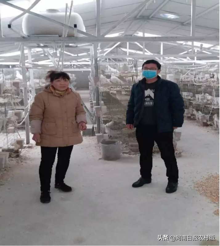 农户散养鸡滞销驻村干部来求助,贫困户养鸭愁销路