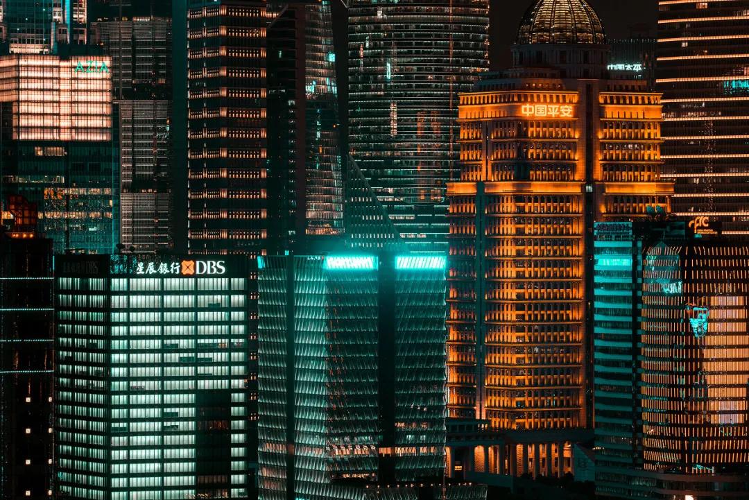 全世界的鸟,全世界的鸟类