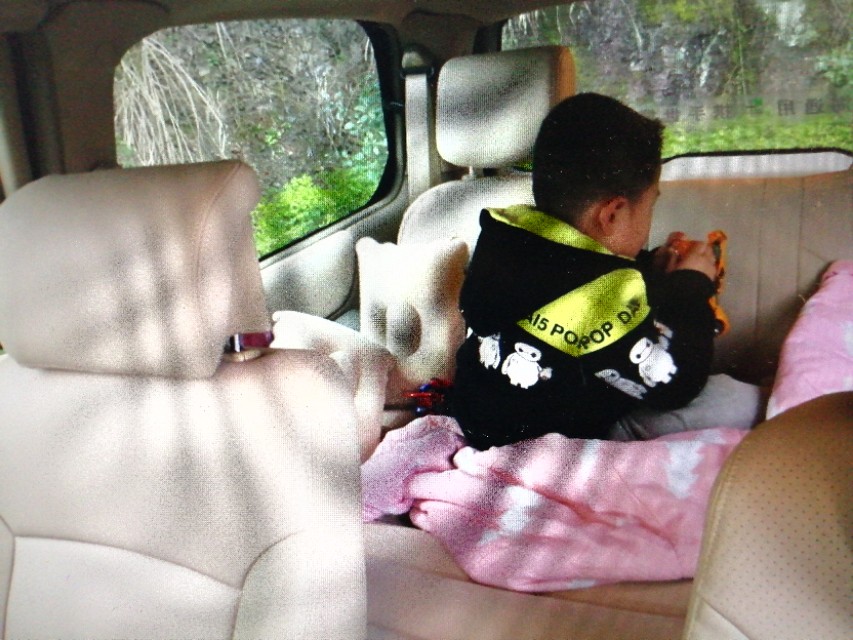 gl8新款2022陆尊,别克gl8陆尊phev