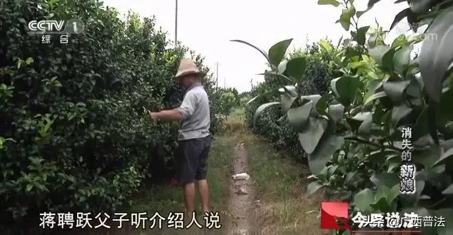 广西多名新娘离奇失踪,背后真相令人愤怒