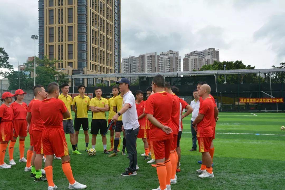 派迪茵体育直播,派迪茵体育训练套装