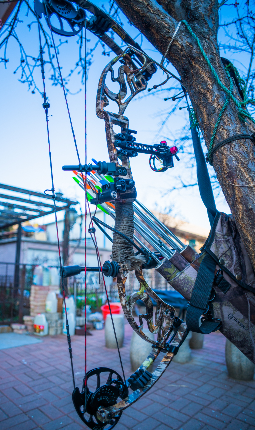 现代复合弓射程,现代合金复合弓的威力