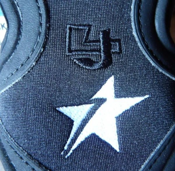 锡安和凯尔登约翰逊,锡安模板约翰逊