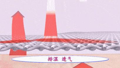 抗菌防臭袜吸汗透气大臭脚推荐,防臭袜抗菌不臭脚短袜