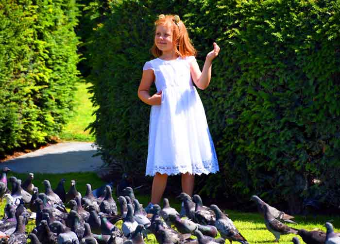 法国巴黎绝美的景色,走进法国巴黎的街头