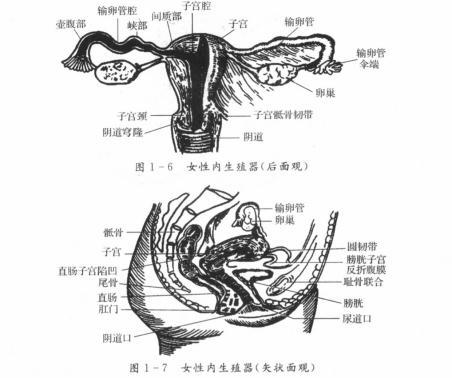为什么去医院医生问有没有结婚,为什么检查会问有没有男朋友