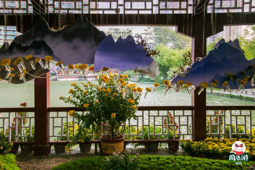 福州菊花展21年还有吗,福州西湖菊花展人山人海