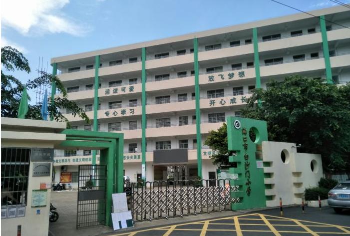 最美小学,海口优秀的小学