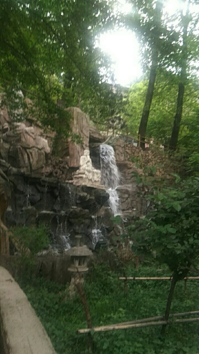 老界岭的山顶,老界岭冬天景色