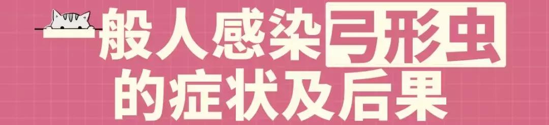 怀孕了还是想养猫猫狗狗怎么办？华西专家：可以养，但绝不能随便养！