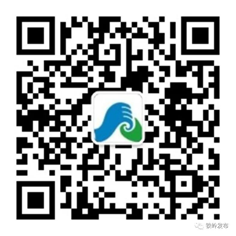 铁岭市招聘会,百日千万招聘专项行动活动