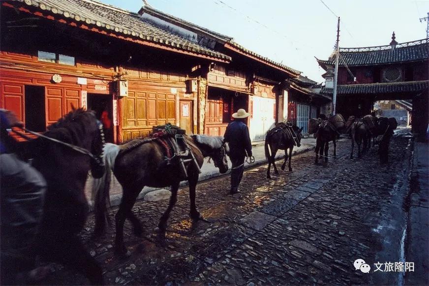 青龙街游玩地图已更新!一起去解锁新玩法吧~