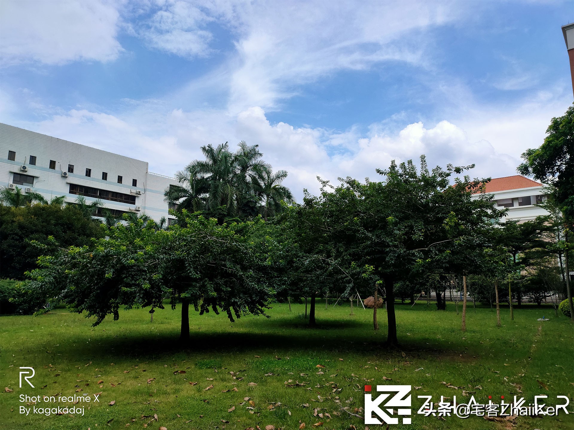 买oppox还是reno系列,买opporeno还是网上买