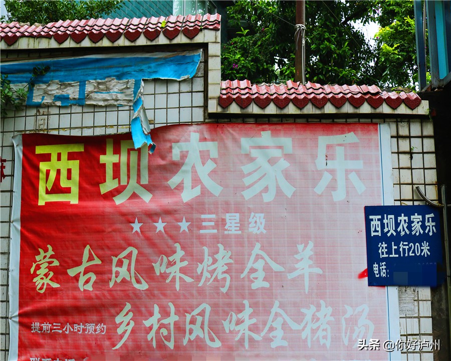 泸州最美农家乐,泸州特色农家乐