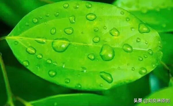 我对的对联在哪里找到,我对的对联