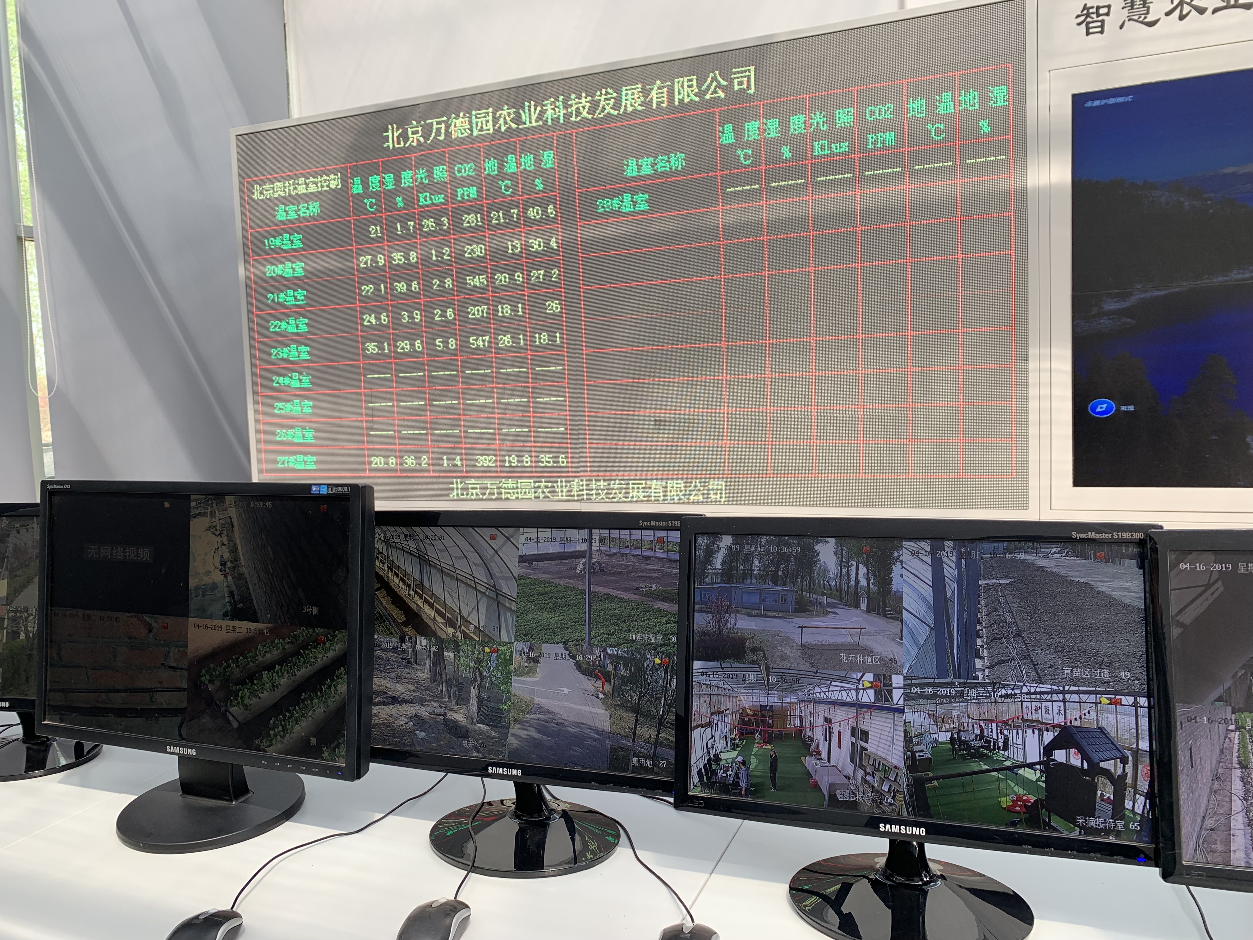 贵族水果怎么做,贵族草莓制作