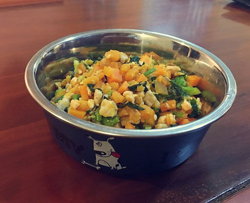 狗狗外伤露肉几天能好,狗狗外伤露肉吃什么消炎药