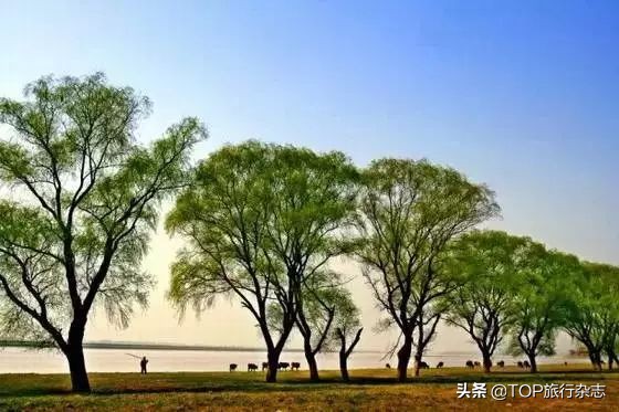 长沙隐藏的小岛,其实长沙还藏着很多小众景点