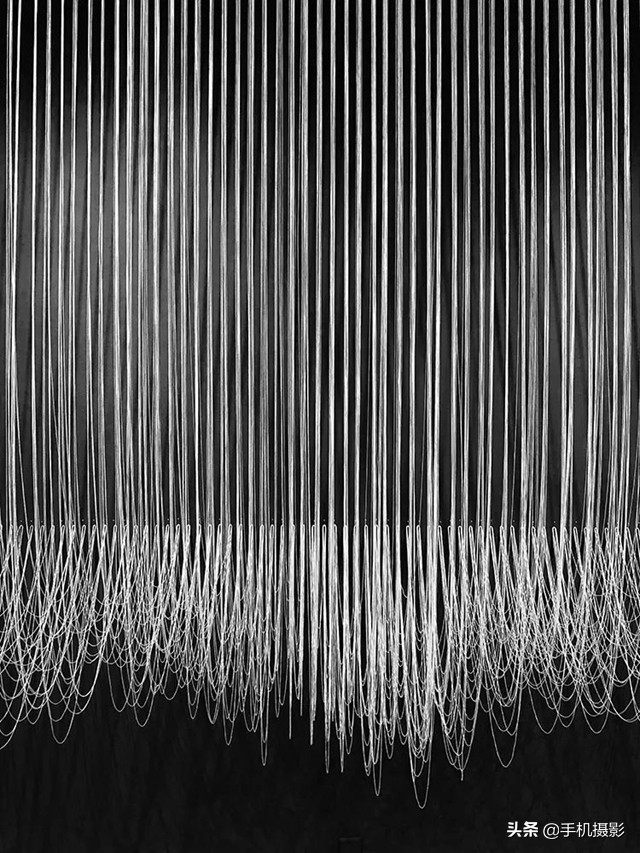 ippa摄影大赛年度总冠军,ippa摄影大赛2014