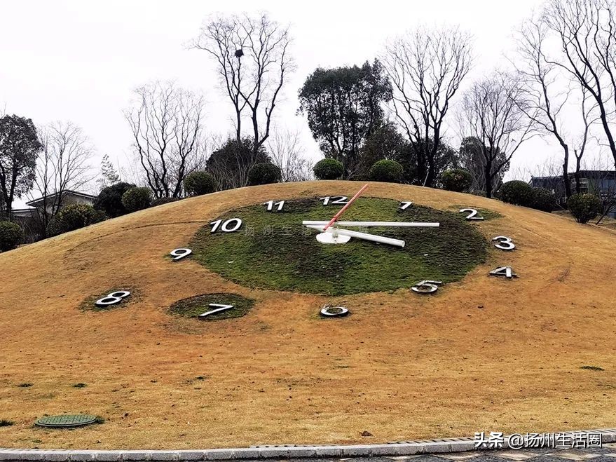 2元花盆批发,2元左右的花盆