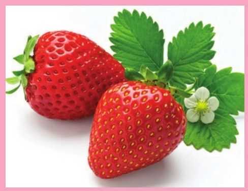 草莓怎么画最难的画法,教你画草莓国画