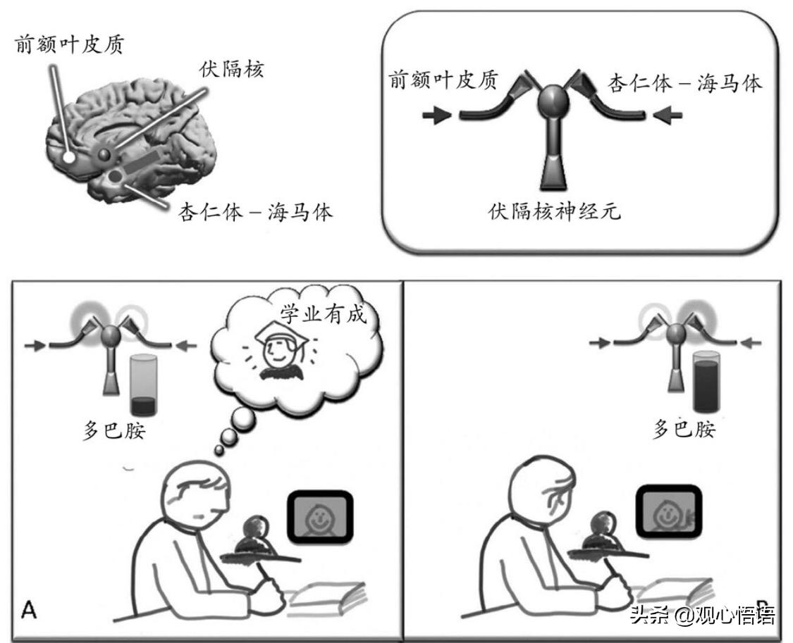 大脑能控制各项机能,大脑潜意识自我控制