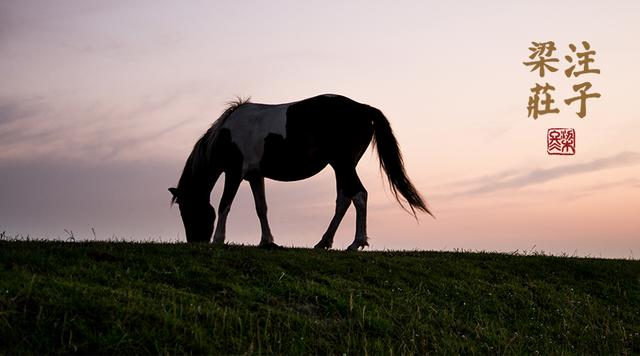 梁冬旁观一下自己的人生,梁冬做自己喜欢的事是最好的修行