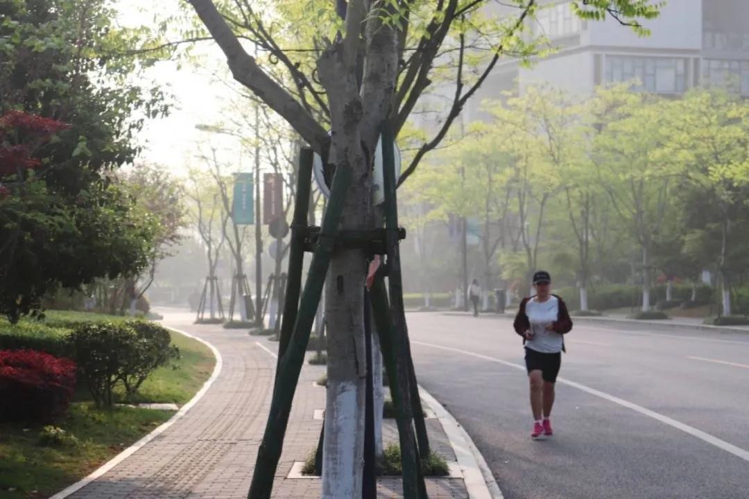 篮球足球排球台球网球,篮球足球羽毛球乒乓球排球图片