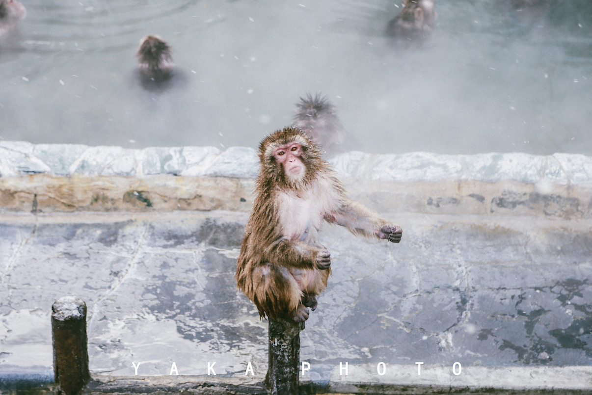 北海道函馆攻略一日游,12月北海道函馆有什么推荐