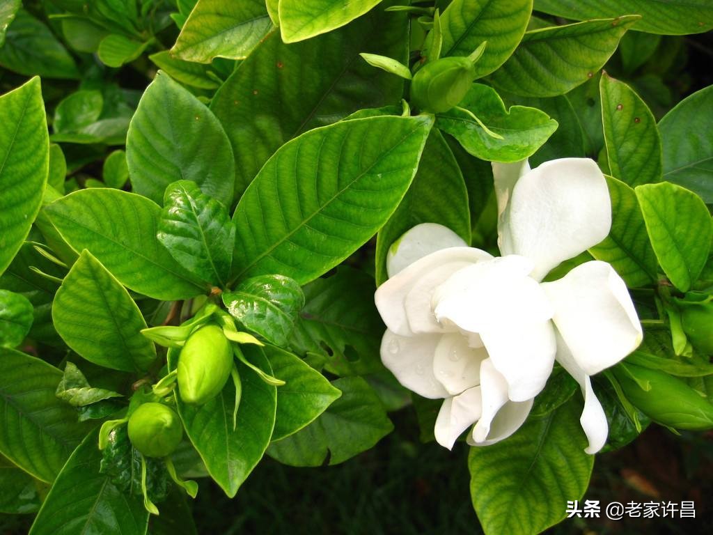 家家都会有烦心事好好面对,家家都有难事