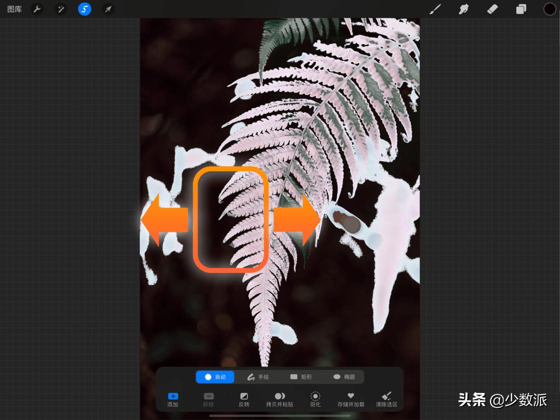 零基础也可以学平面设计,零基础免费学ipad插画