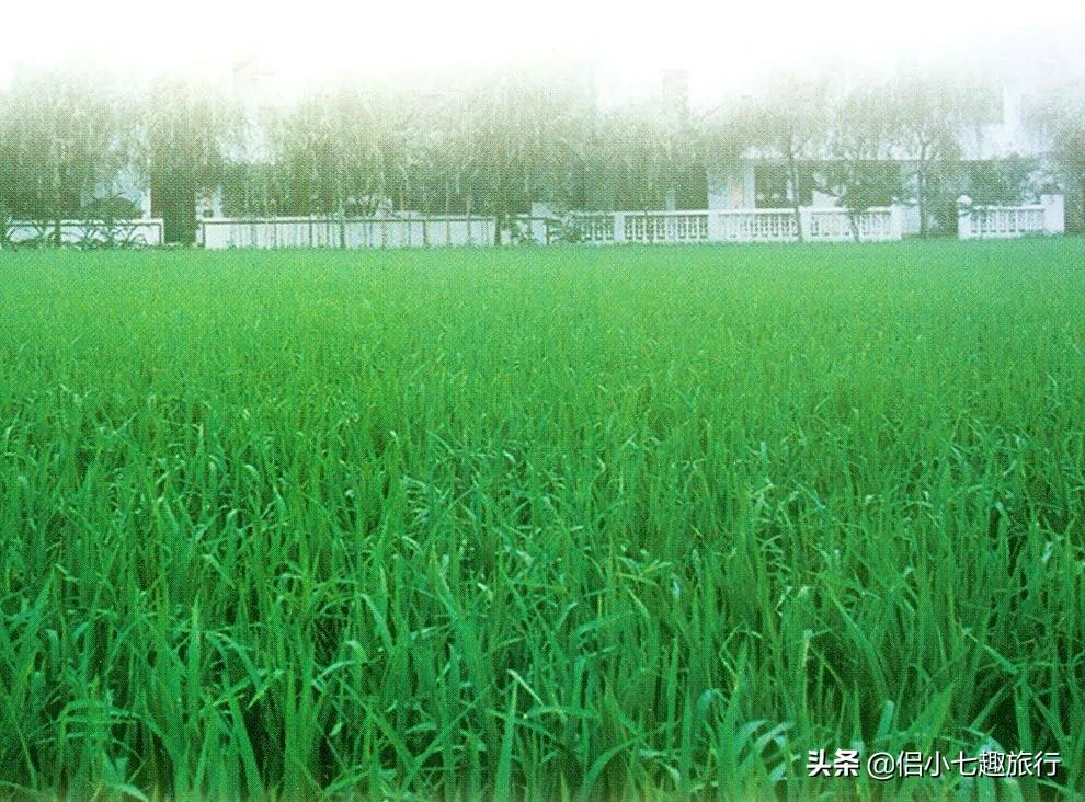 生态农场知多少,生态农业指的是哪些