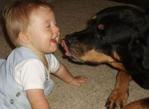 还在相信怀孕生娃后不能养宠物？钟南山：谣言，真相是越早越好