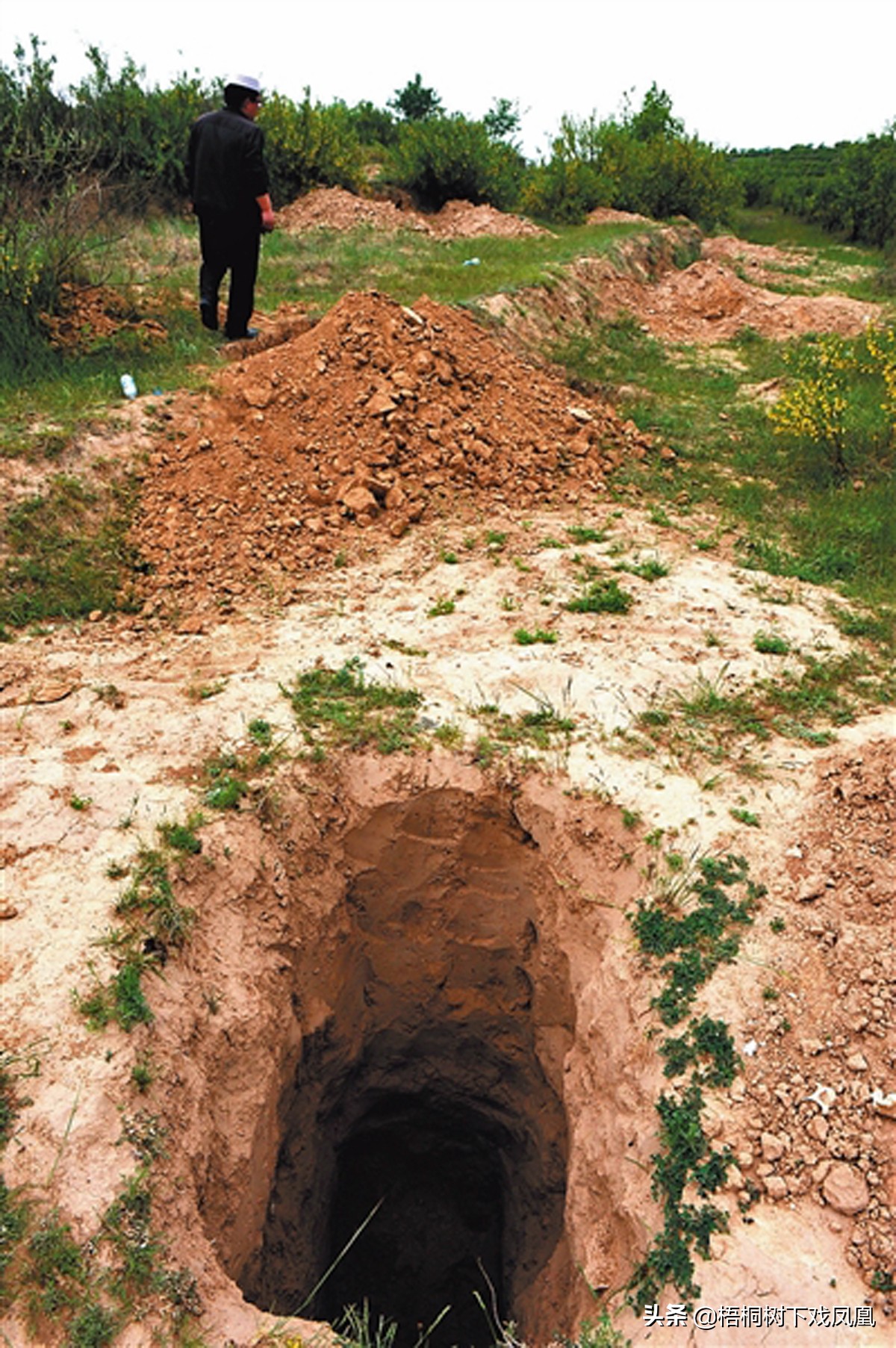 利用风水盗墓的高人,中国盗墓高手看风水挖坟