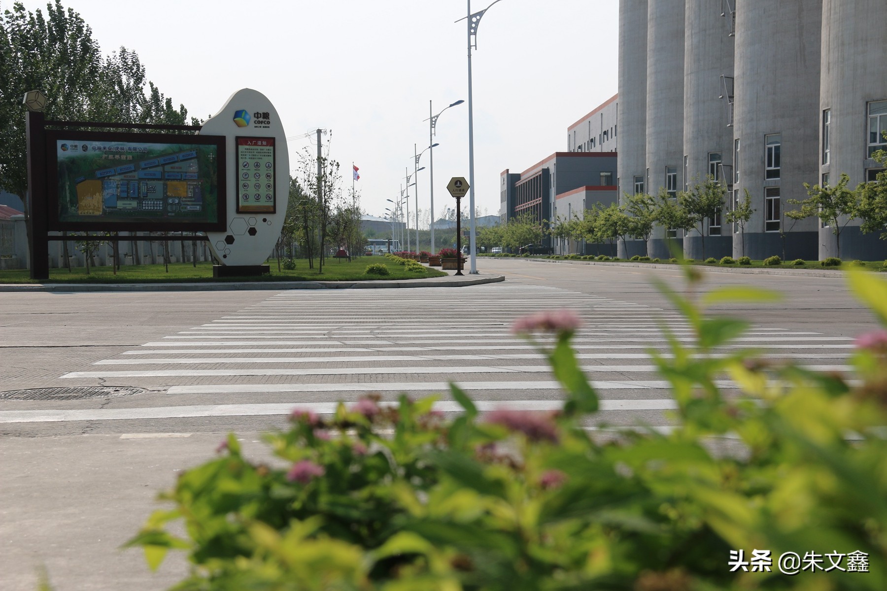 中粮虎林大米,中粮米业虎林有限公司怎么样