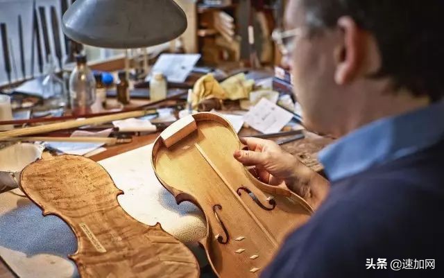 公司不按套路出牌,全网最不按套路出牌