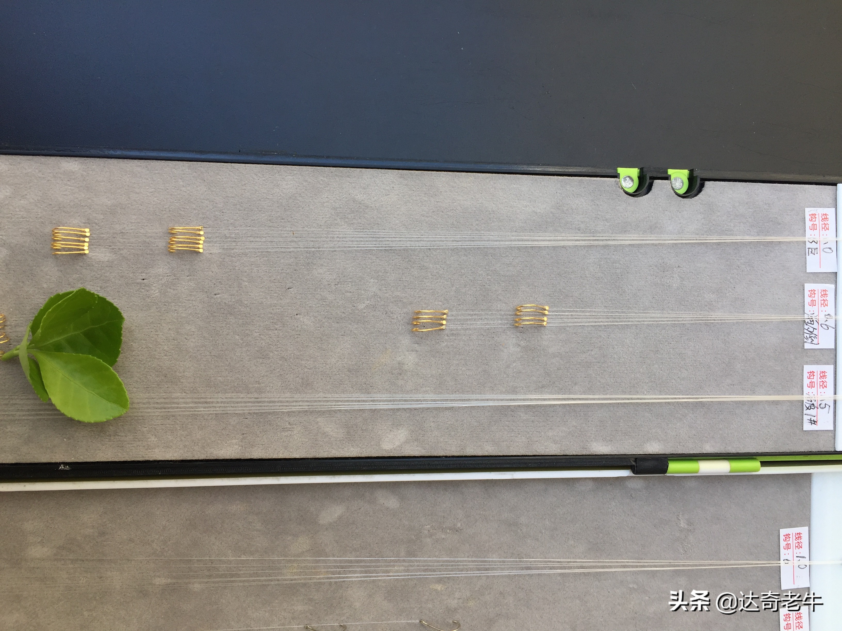 钓鱼子线长了怎么绑短一点,钓鱼各种子线的正确绑法