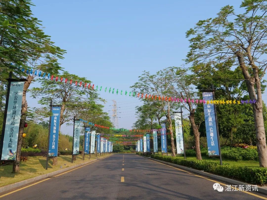 惊艳全国、破世界纪录!455名旗袍佳丽云集湛江遂溪玥珑湖