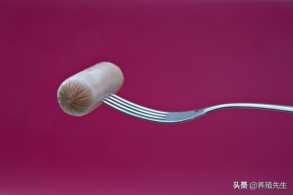 给牛打针往尾部打针怎么打,给牛打针咋不乱动呢