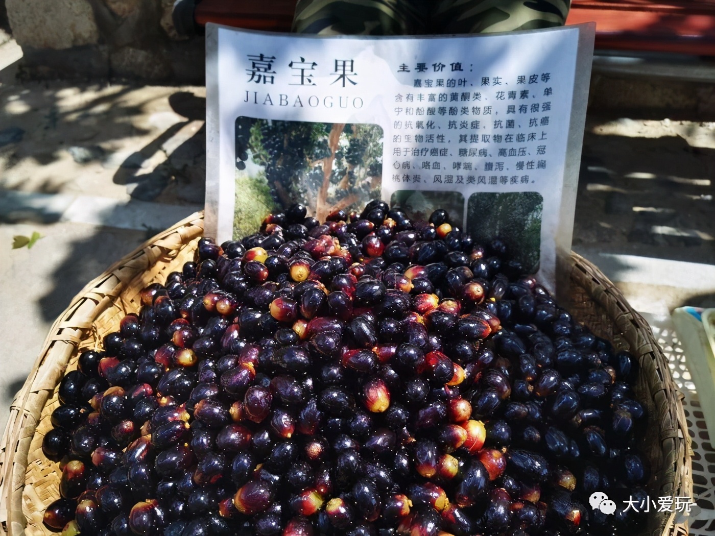 北京夏季最美十大登山步道,北京有一个神奇而美丽的步道