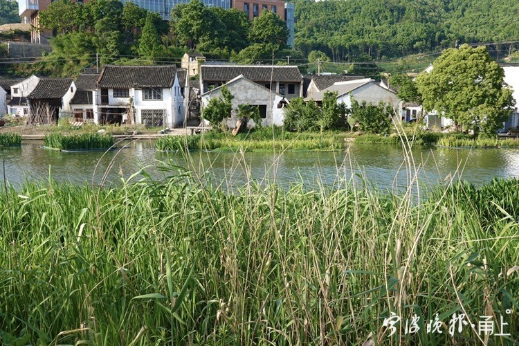 宁波东钱湖梅湖小镇,宁波东钱湖山村