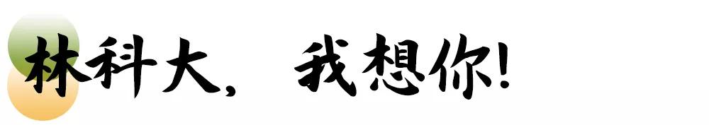 母校我想你,想你母校