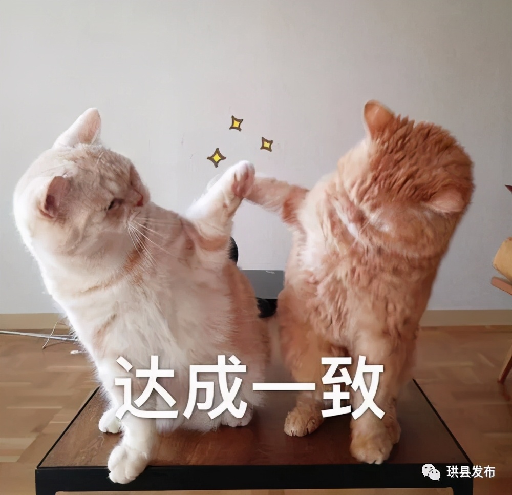超市猪肉真假怎么辨别,检验过合格猪肉怎么辨认