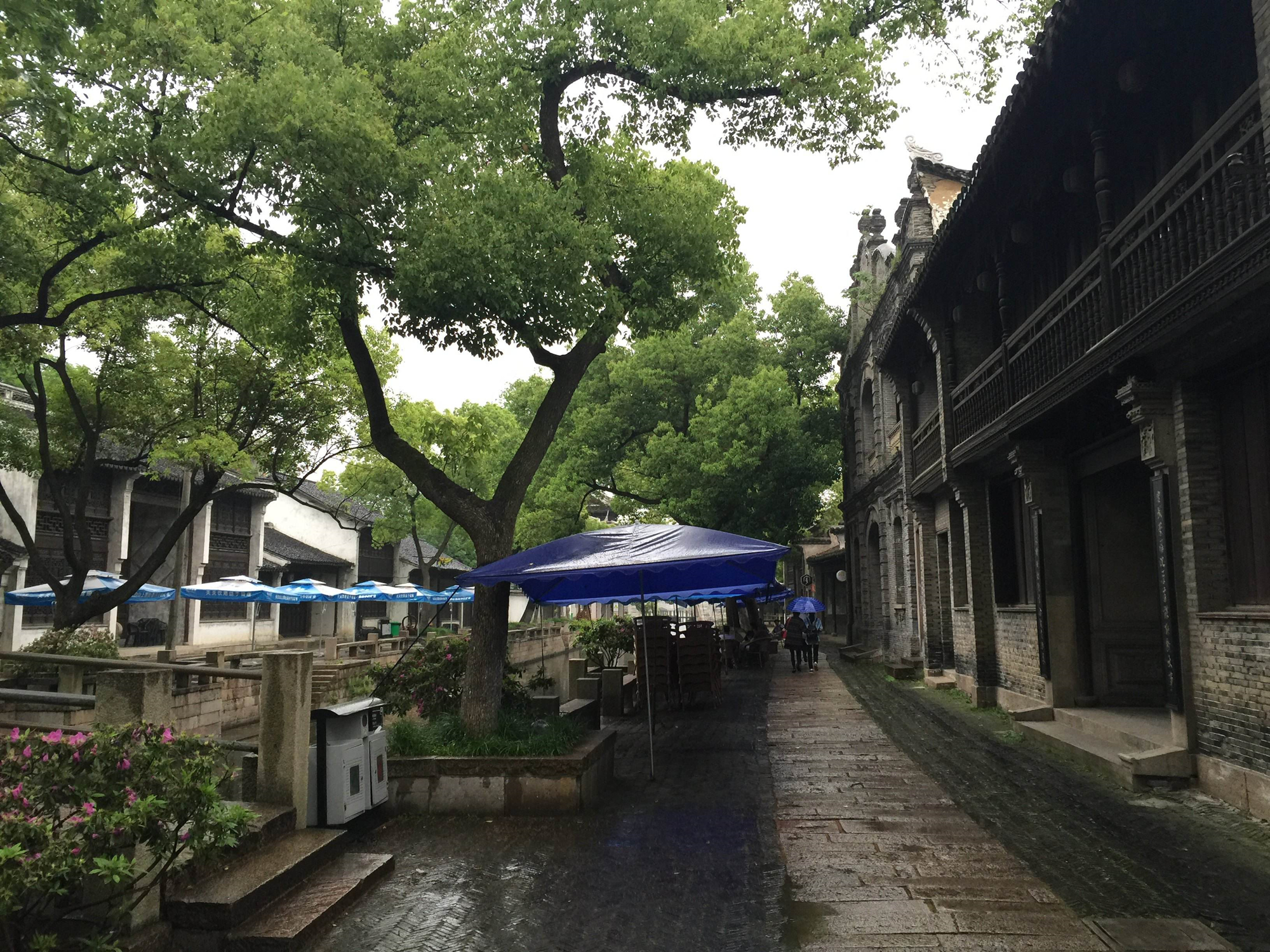 内河鱼泉之谜完整版免费,鱼泉之谜全集解说完整版