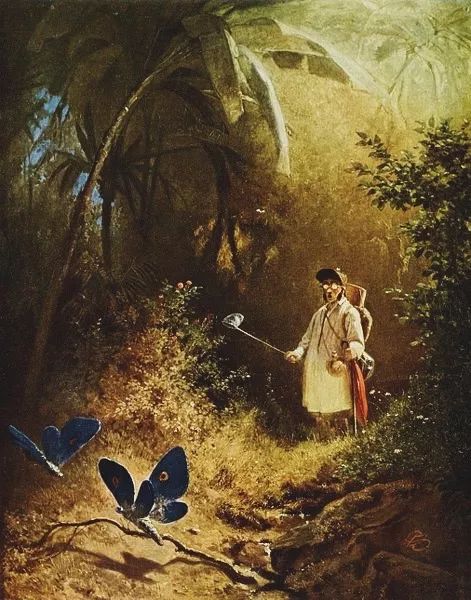 话题|一起化蝶的爱情是没有了，但你还能搞到这些