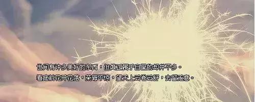惩奸除恶的狠人,正能量惩奸除恶