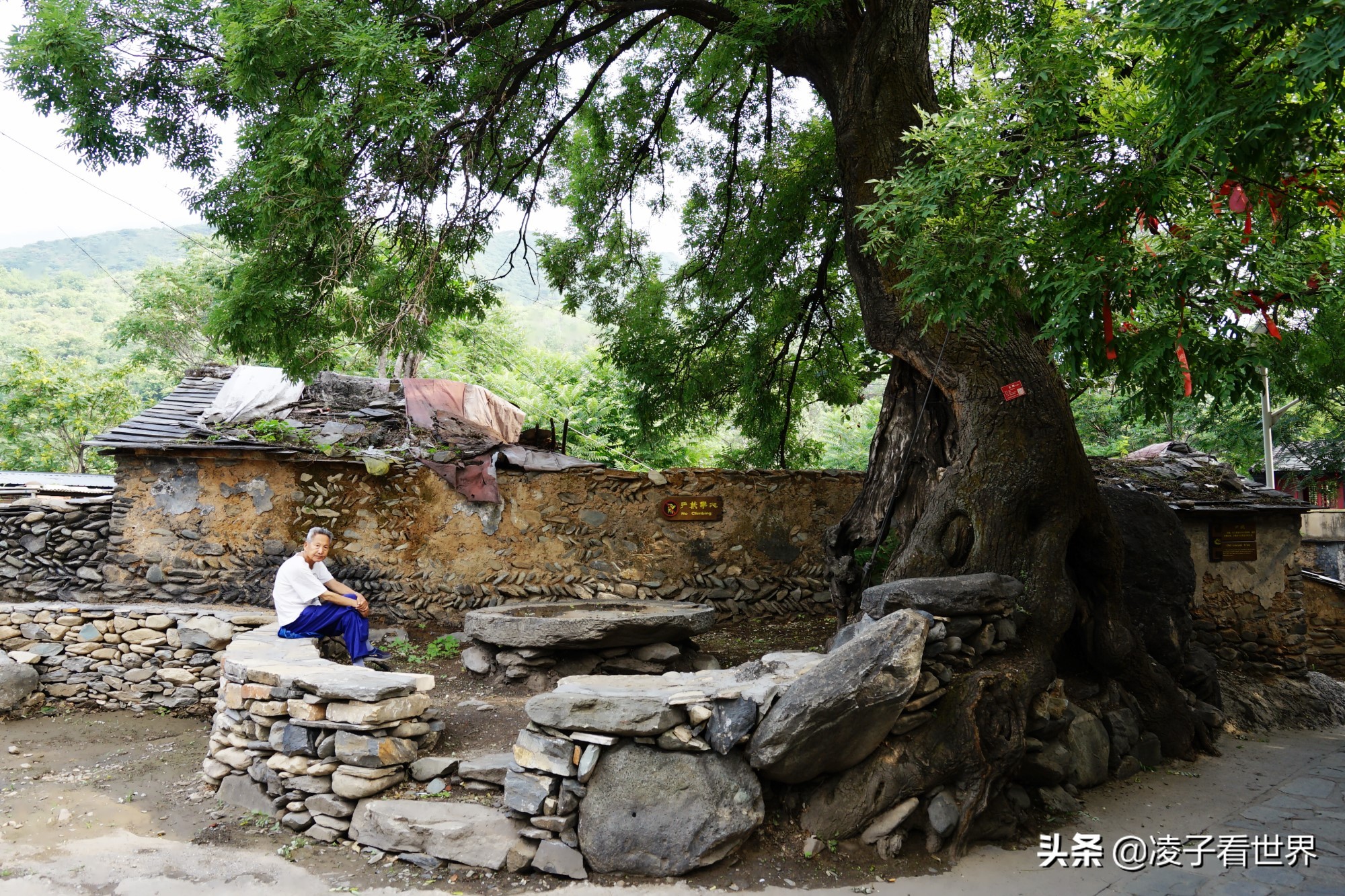 逃离北京40度高温,房山享受22度清凉,看银狐,逛古街吃铁锅炖