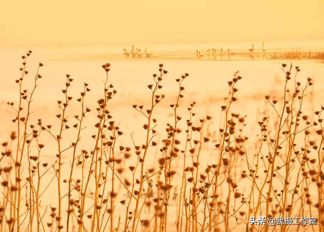 第16届国际摄影艺术展获奖作品,第29届全国摄影艺术展览作品集