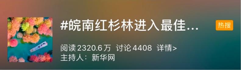 秋天的杭州自驾游,杭州秋冬自驾