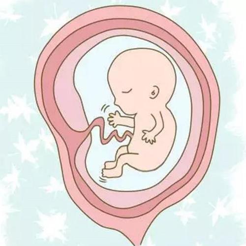 孕妇怀孕之后屋里的东西能搬动吗,孕妇的床下是不是不可以放东西